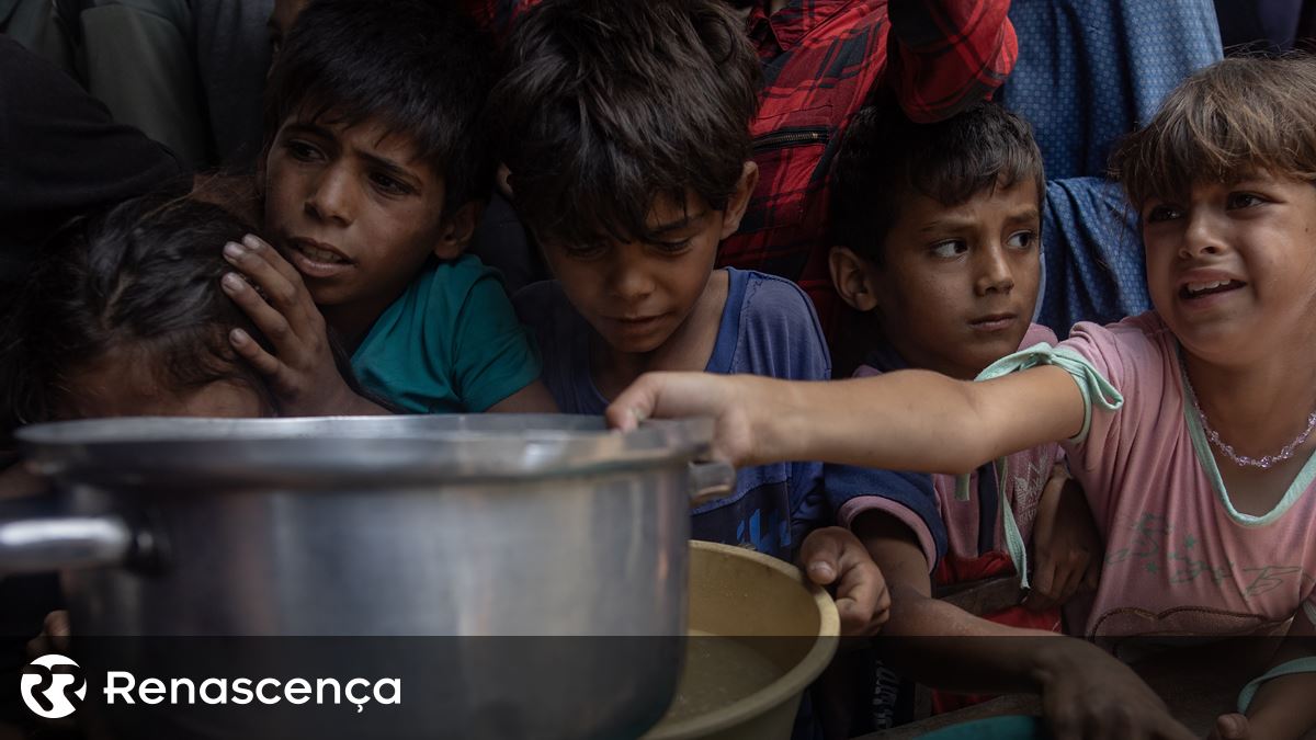 A ajuda humanitária em Gaza não começou a ser distribuída, garantindo que as Nações Unidas