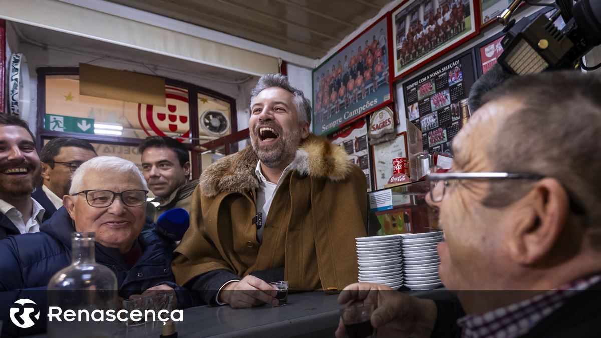 ⏱️ A campanha foi realizada em 37 segundos. No sexto dia, o galho e o ginjinha caíram