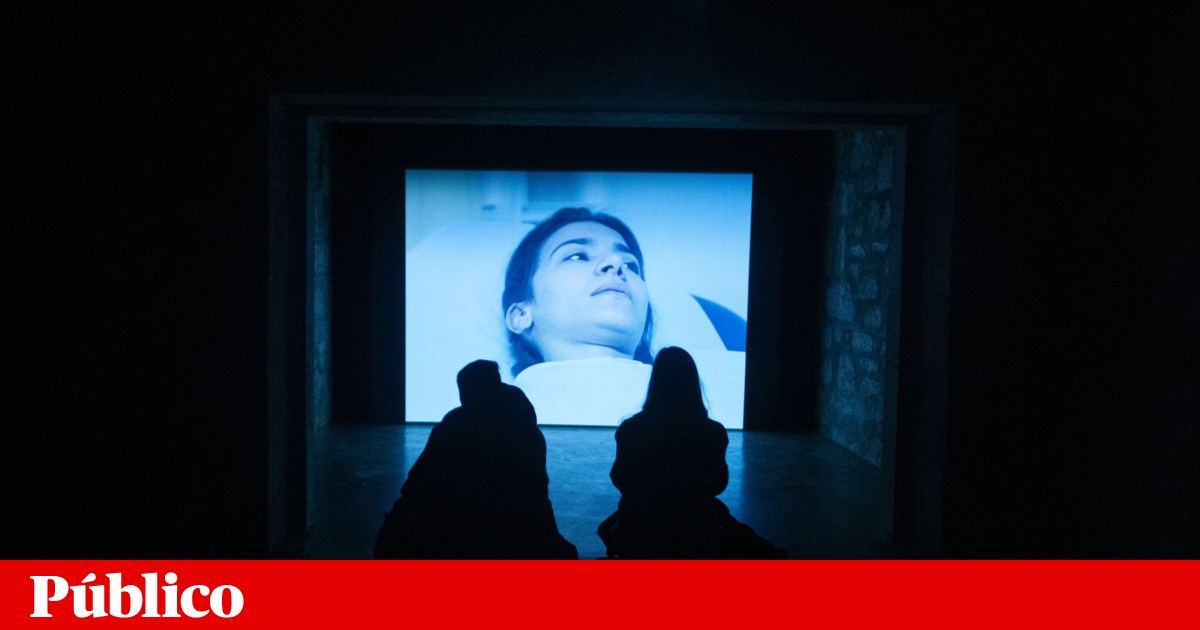 A casa do artista do norte ainda está esperando a terra prometida por Matosinsinhos | Matoscos