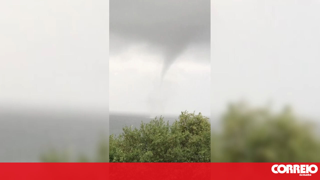 A cena da água seca de sementes de gergelim – clima