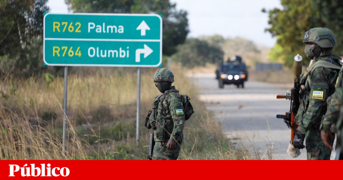 A grande recuperação de gás é esperada ainda este ano em Moçambique | Daniel Chapo
