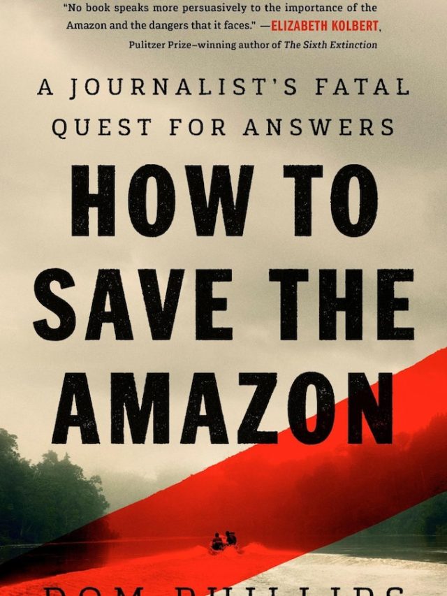 A journalist was killed while writing a book on Amazon. This is how a friend does his job