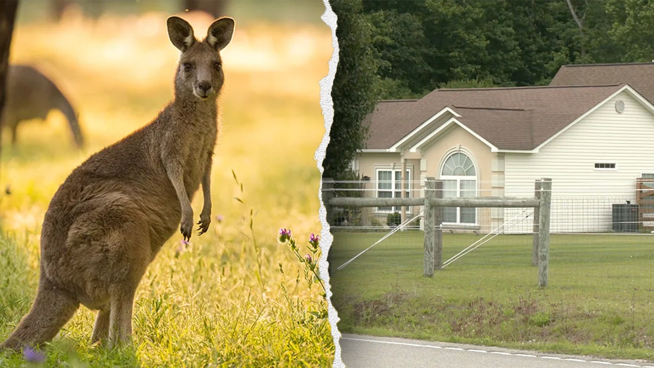 A man found in a small wallaby fence in South Carolina is dead