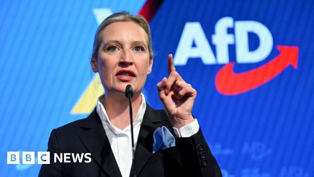 AFD is classified as extreme right wing by German intelligence