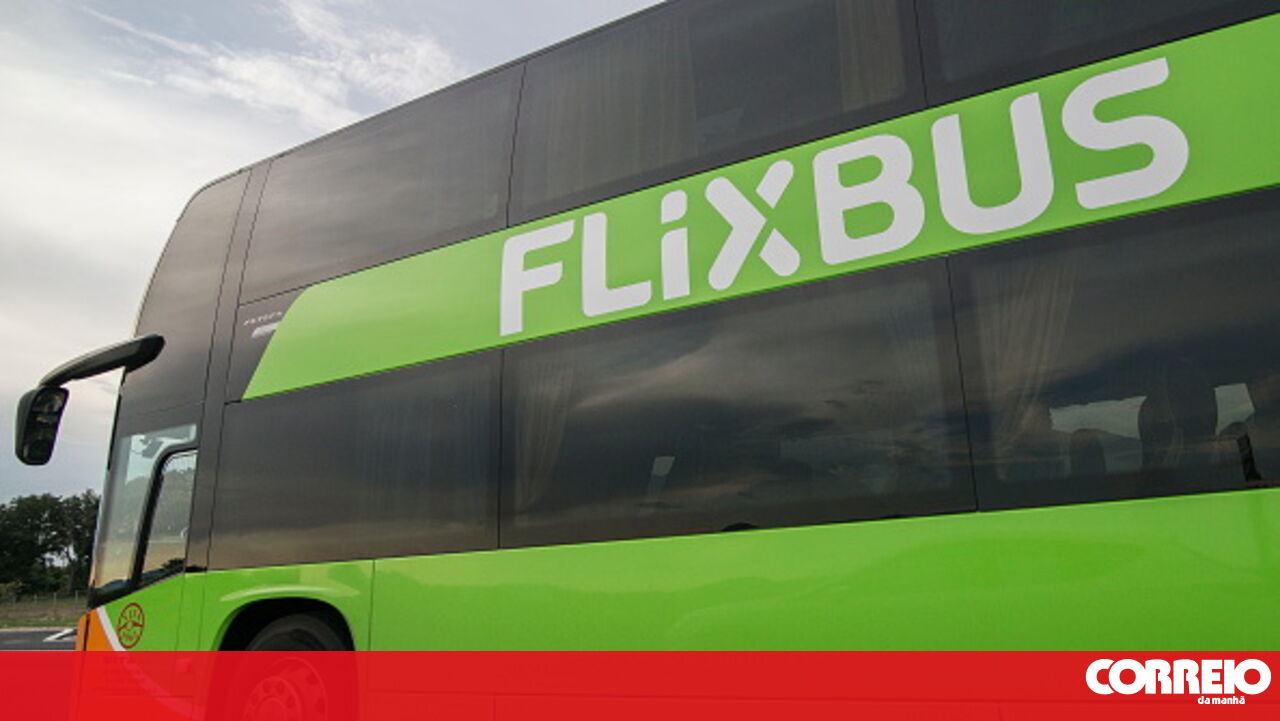 AMT determina o acesso de Frisboath ao terminal de ônibus Sete Rios em Lisboa – Sociedade