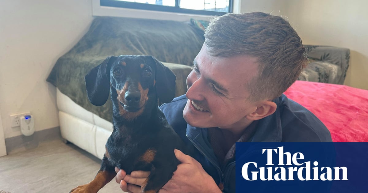 After 500 days of bravery in the wild, Valerie is heavier than ever. Is anyone feeding mini dachshunds? |Kangaroo Island