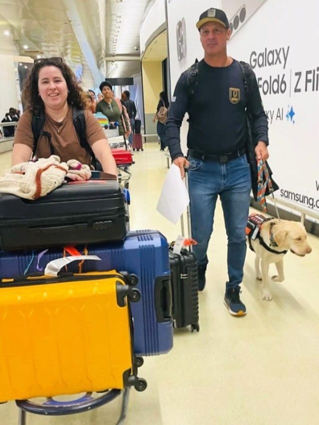 Alívio da família da menina autista. Teddy Dog chega em Lisboa | Animais