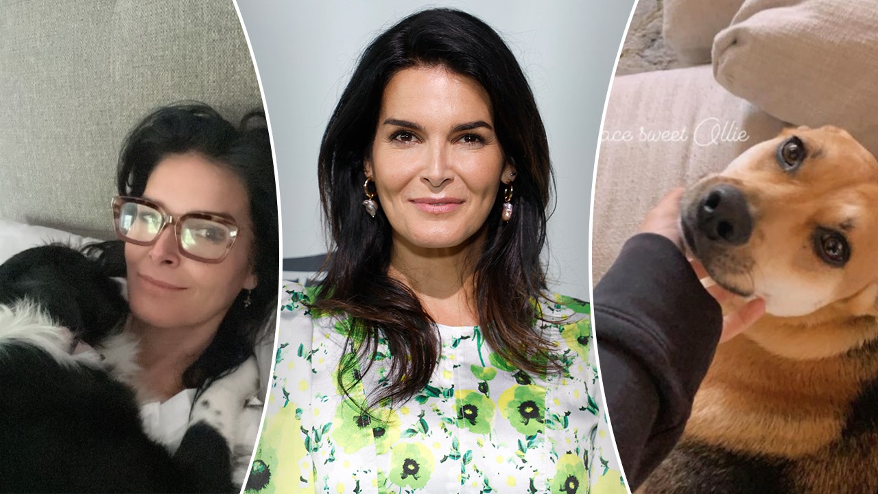 Angie Harmon is “rescued” by dog ​​Lucy a year after dog Oliver was killed