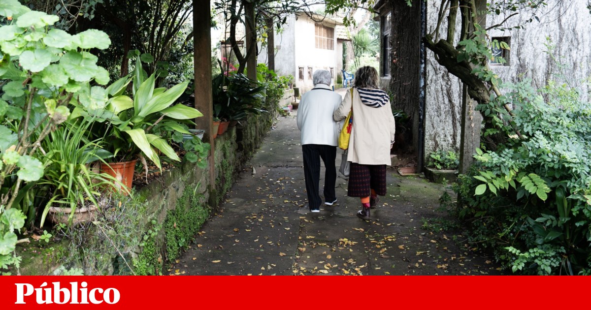 As esperanças de Living de Portugal excedem o pré-valor | ine