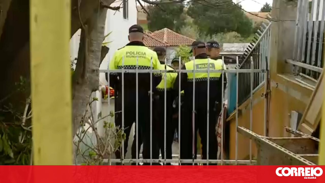 As taxas ilegais de aluguel para a universidade são 41.000 euros na sala de conferências de Sintra – Sociedade