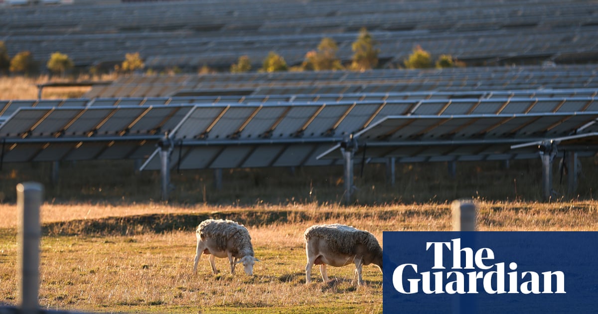 At the beginning of the year, more than 40% of the electricity used in Australia's major grids was renewable | Vitality