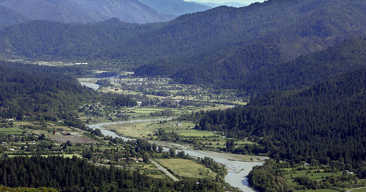 Baby fears death after getting on a bus in Northern California