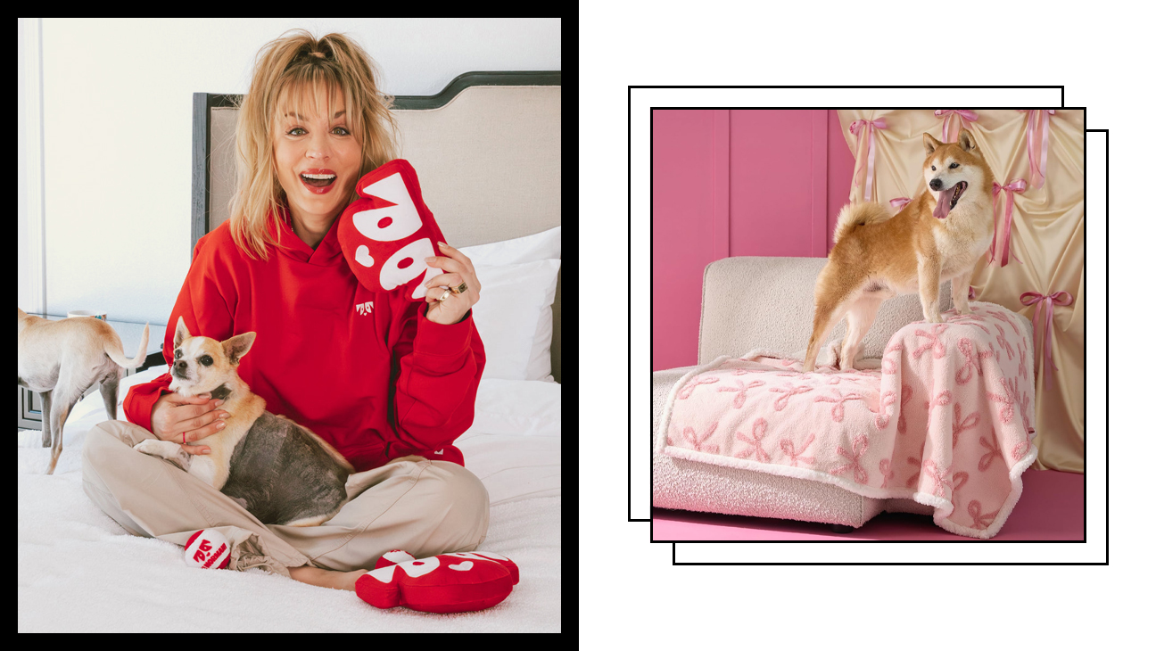 Best deals on fashionable dog and cat products