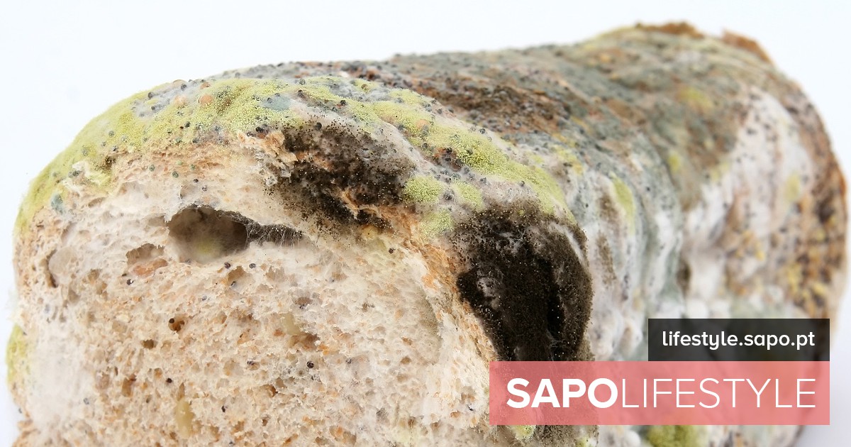 Bolools ou fungos: Quais são os riscos à saúde? – peso e nutrição