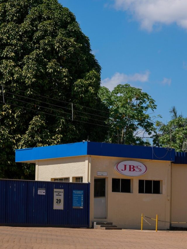 Brazilian slaughterhouses reduce links to Amazon deforestation, but cattle laundry remains problematic