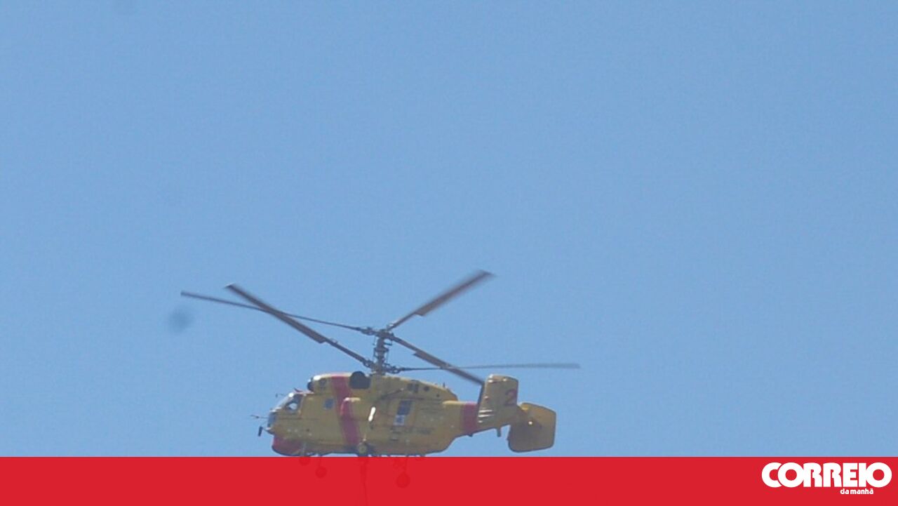 Burns Destroeça o dobro da área queimada em 2024 – Portugal