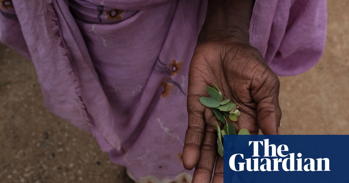 By hunger, nearly 300,000 people are at risk of death – Report | Global Development