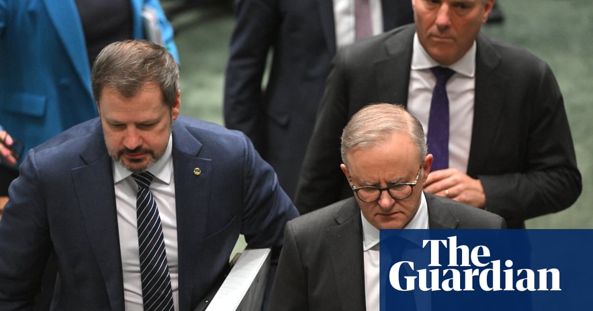 Cabinet Minister Ed Husic aims to blame 'factual assassin' Richard Marles | Australian Politics