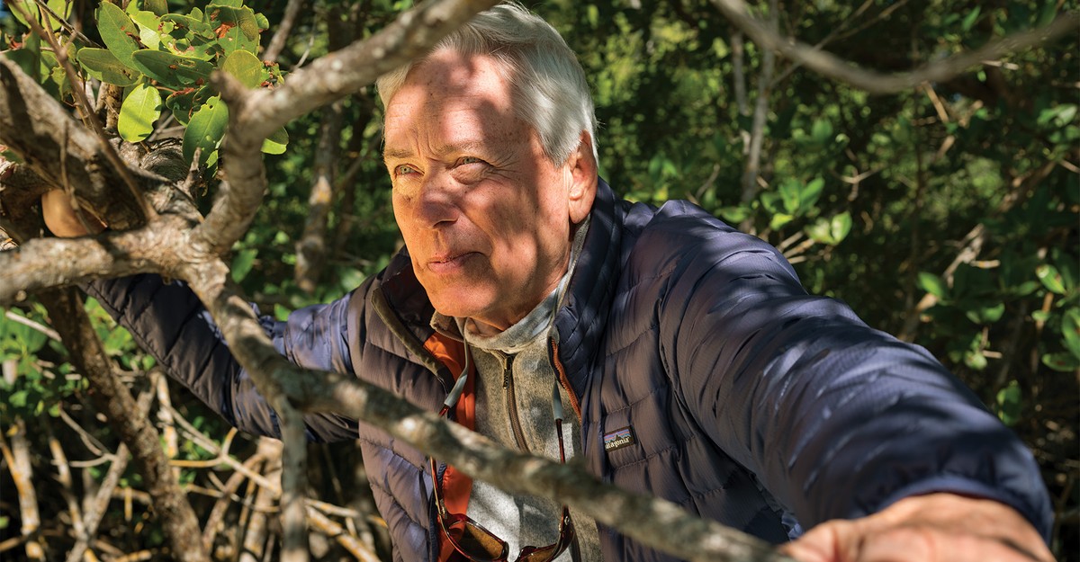 Carl Hiaasen, Florida’s Poet of Excess and Grift