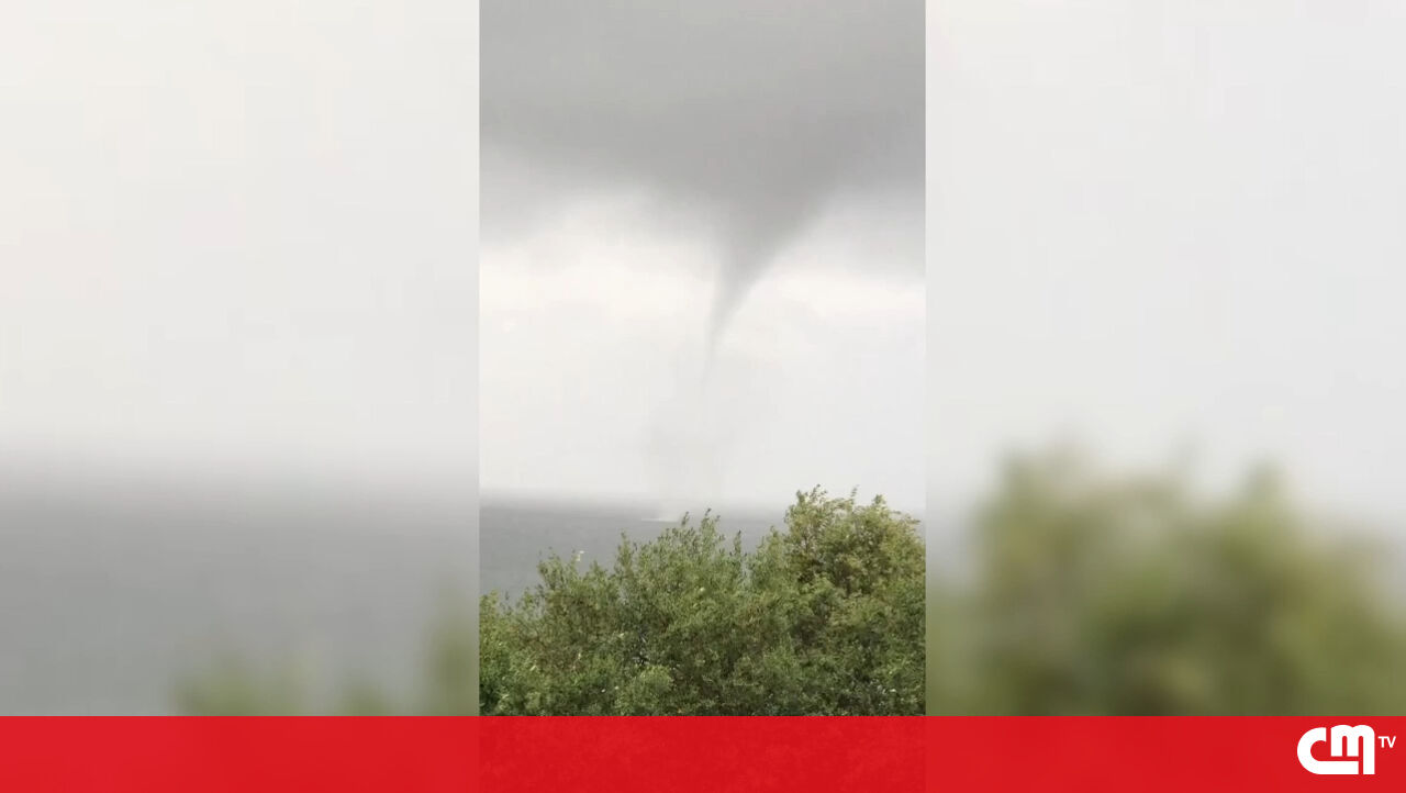 Cena do tronco da água do gergelim – vídeo