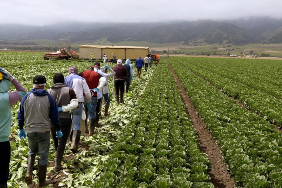 Central Coast farmers invest in guest worker housing to stabilize workforce