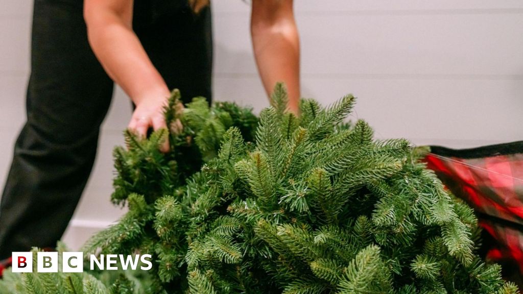 Christmas orders back on track after tariff truce