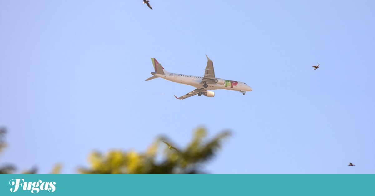 Clique em BET nos Estados Unidos: as rotas começam em Lisboa, são Angeles e Porto Boston | Vôos