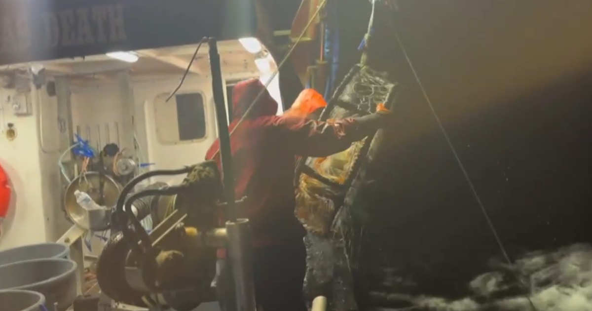 Commercial crab season in Northern California is threatened by migration
