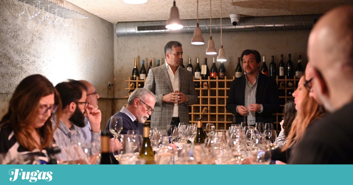 Complexo e luz. Então, na era Boal Costa, o rebanho de vinho do cardeal | ALENTEJO