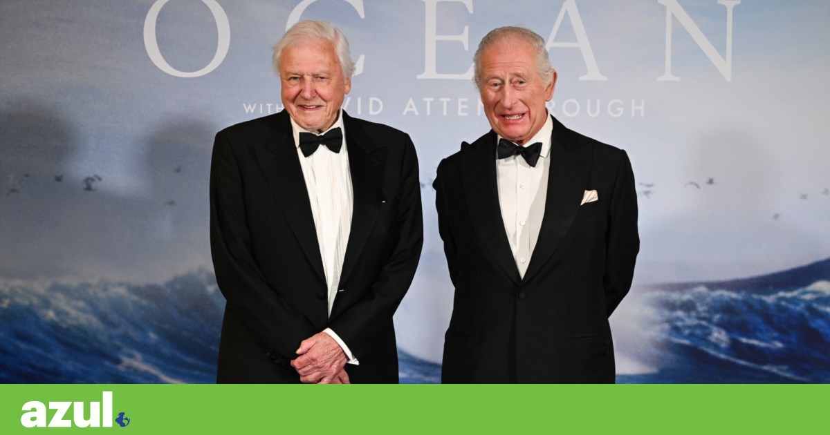 David Attenborough comemora o novo filme de 99 especificamente para o oceano | Oceano