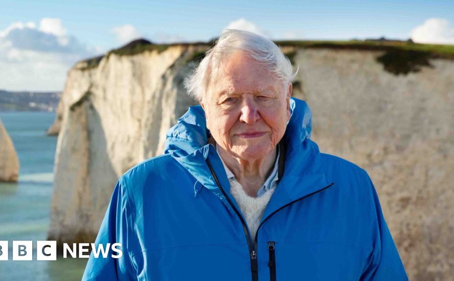David Attenborough's ocean film The Biggest Message He Says
