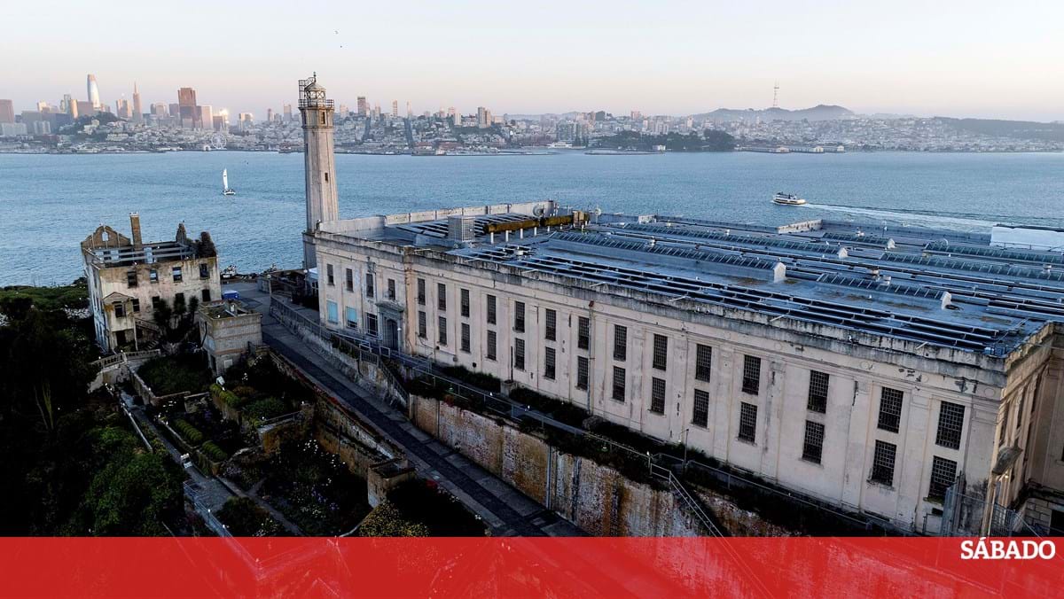 De vazamento, tente viajar local: a história da reabertura de Trump do Diabo – decodificador