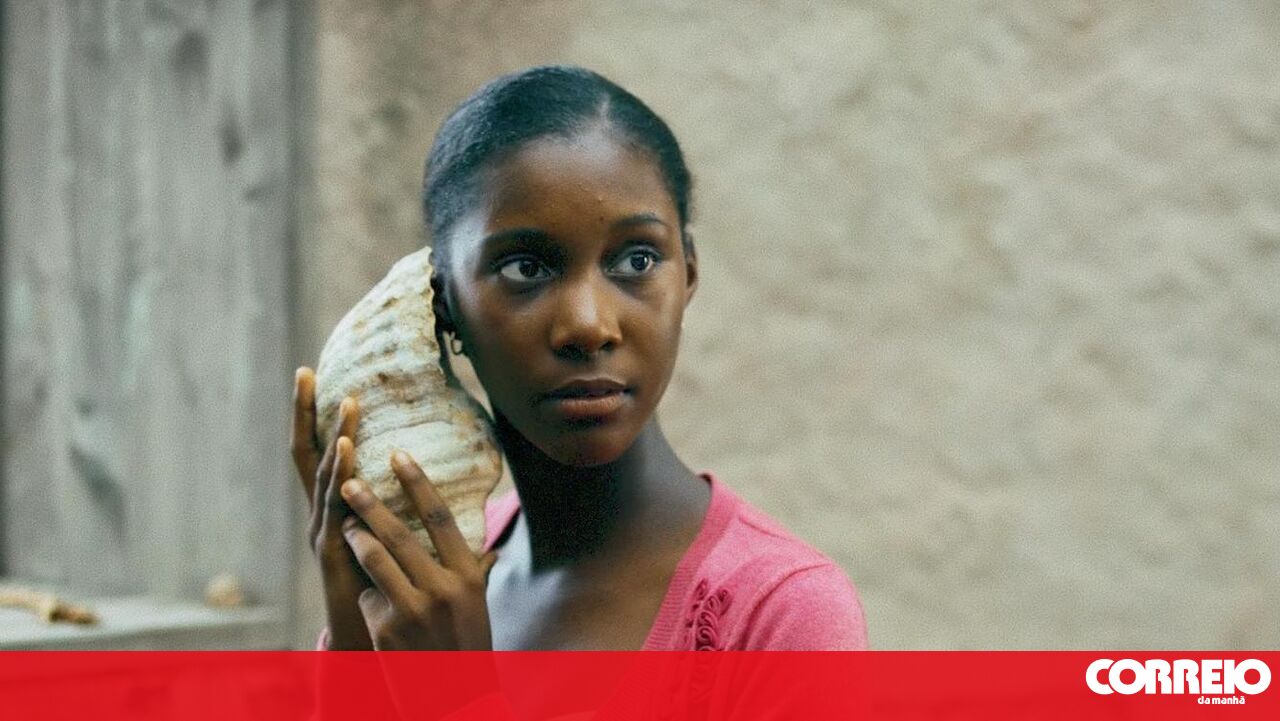 Denise Fernandes: “Artistas continuam criando” – Cultura