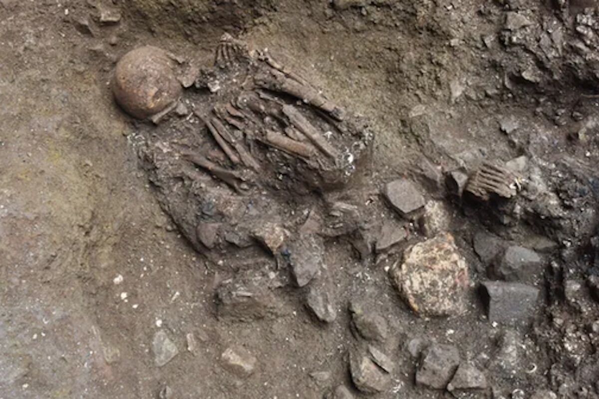 Descobriu a linhagem “fantasma” dos seres humanos
