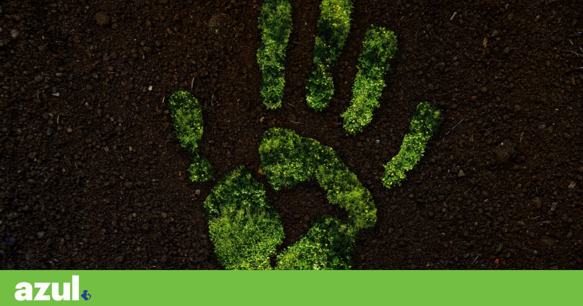 Dia da sobrecarga da Terra: Portugal explodirá os recursos nesta segunda -feira em 2025 | Sustentabilidade