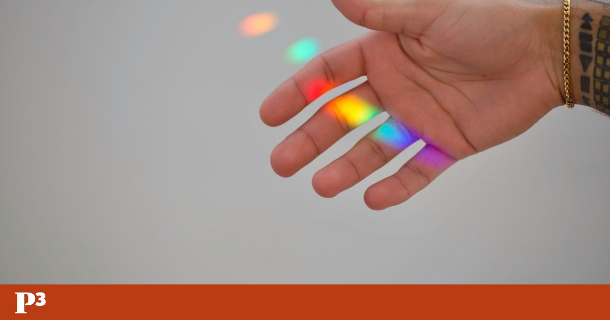 Dias internacionais contra gays, gêmeos e transfobia | Megafone
