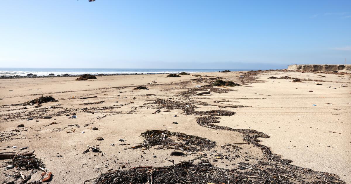 Did the fire make Southern California beaches less safe?
