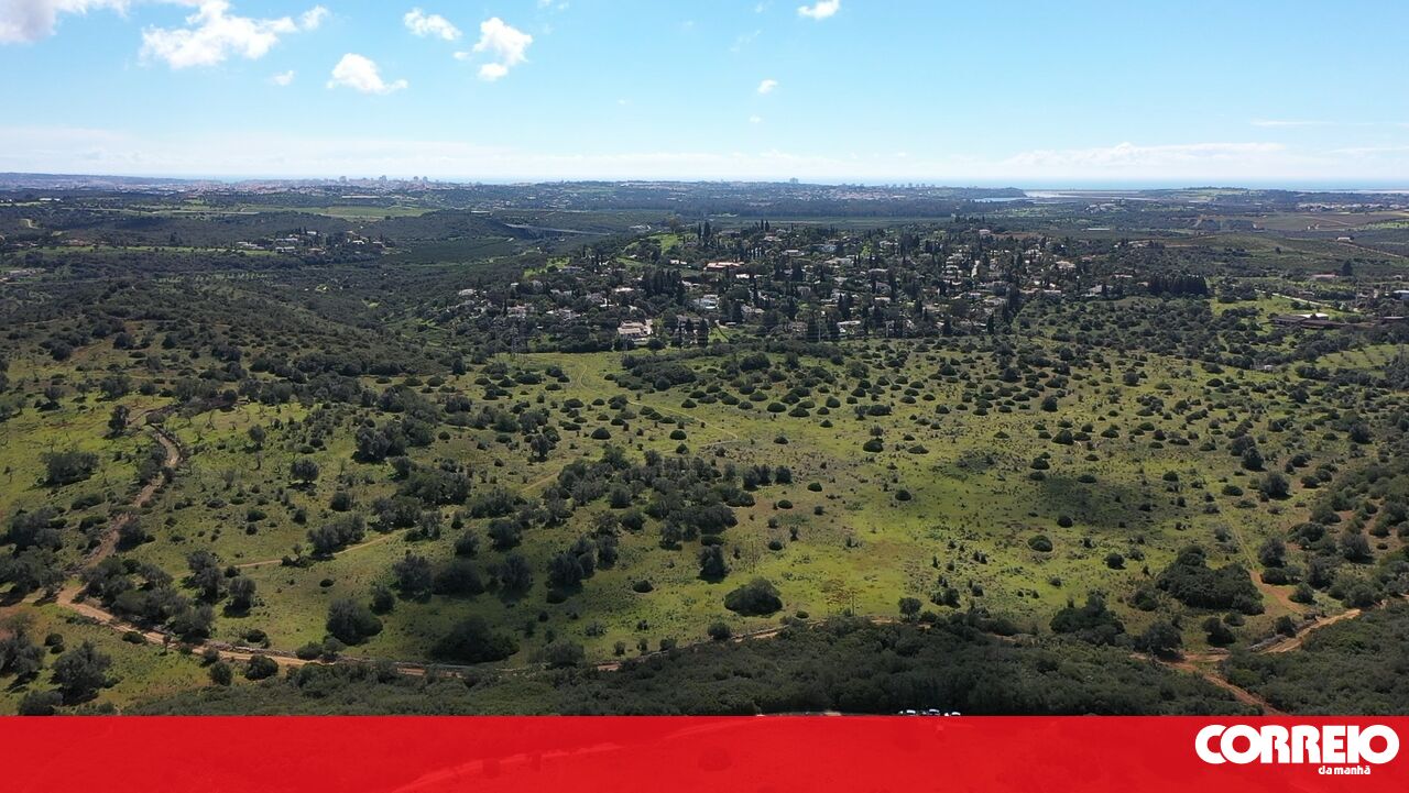 Durante o feriado judicial, a Terra prendeu 3 milhões de euros de € 3 milhões. Veja CMTV-Portugal
