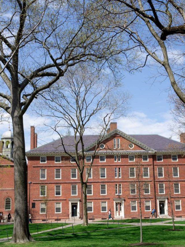 É considerado uma cópia barata da Magna Carta, mas não é: comprada por US $ 30 e levada sob custódia em Harvard, uma versão rara de 1300