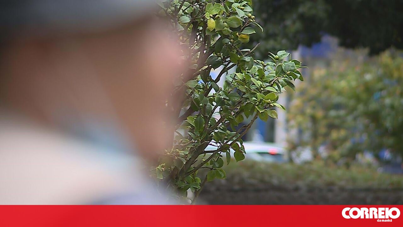 Em emergência hospitalar, procurando tetos, alimentos e higiene, crescendo números nos sem -teto – sociedade