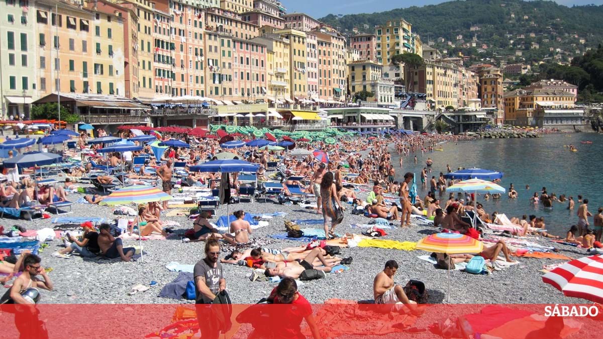 Encontre a área perfeita para prejudicar a vida selvagem na praia – Ciência e Saúde