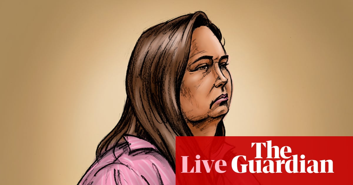 Erin Patterson murder trial live: cross-examination of the main detective in the Australian Mushroom case continues | Australian News