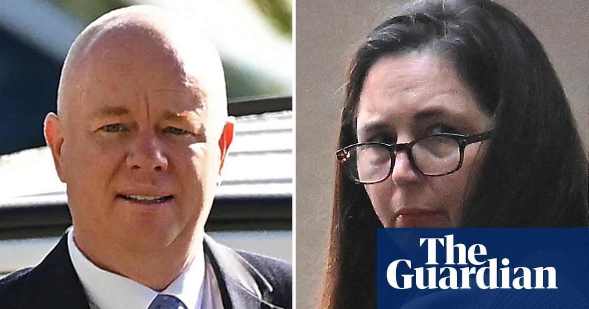 Erin Patterson's estranged husband testified | Victoria