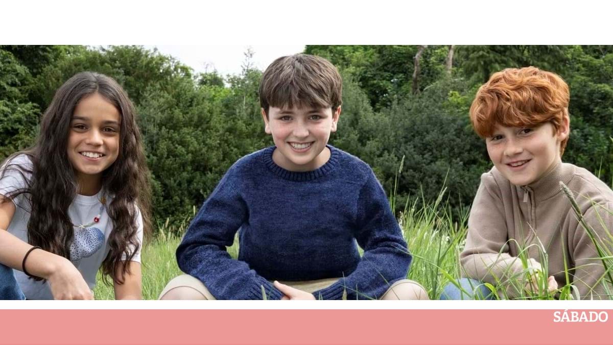 Esses atores produzirão Harry Potter, Ron e Hermione – TV