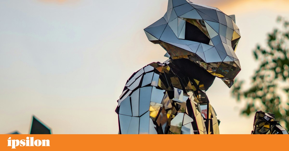 Etapa semanal: água na parede e psicologia em andamento | P2