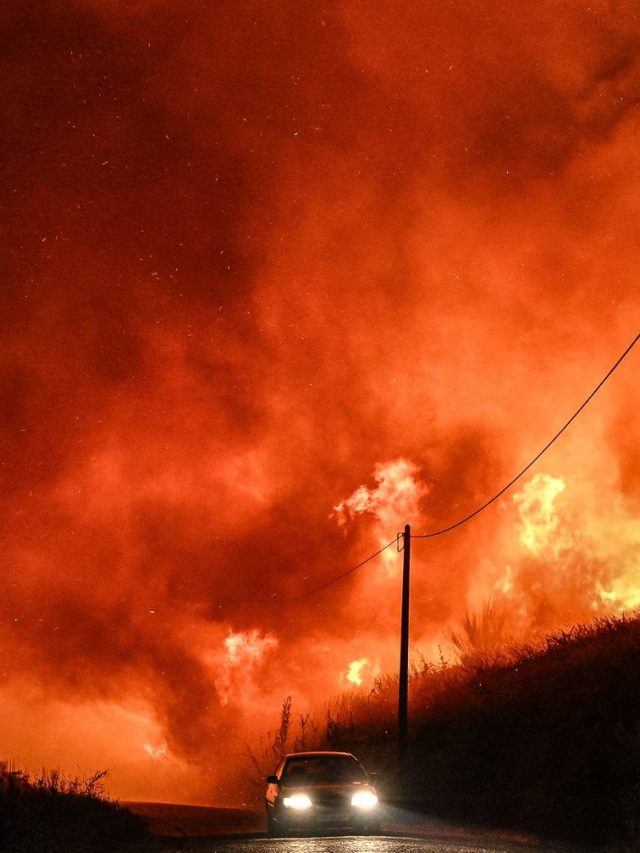 Existem 14 cidades em perigo de fogo: as áreas de Bragança, Guarda e Faro são as mais preocupadas