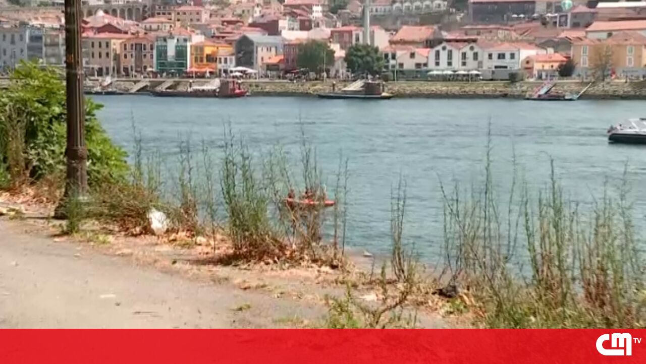 Expanda para a busca de foz para descobrir jovens desaparecidos no Douro na sexta -feira – vídeo