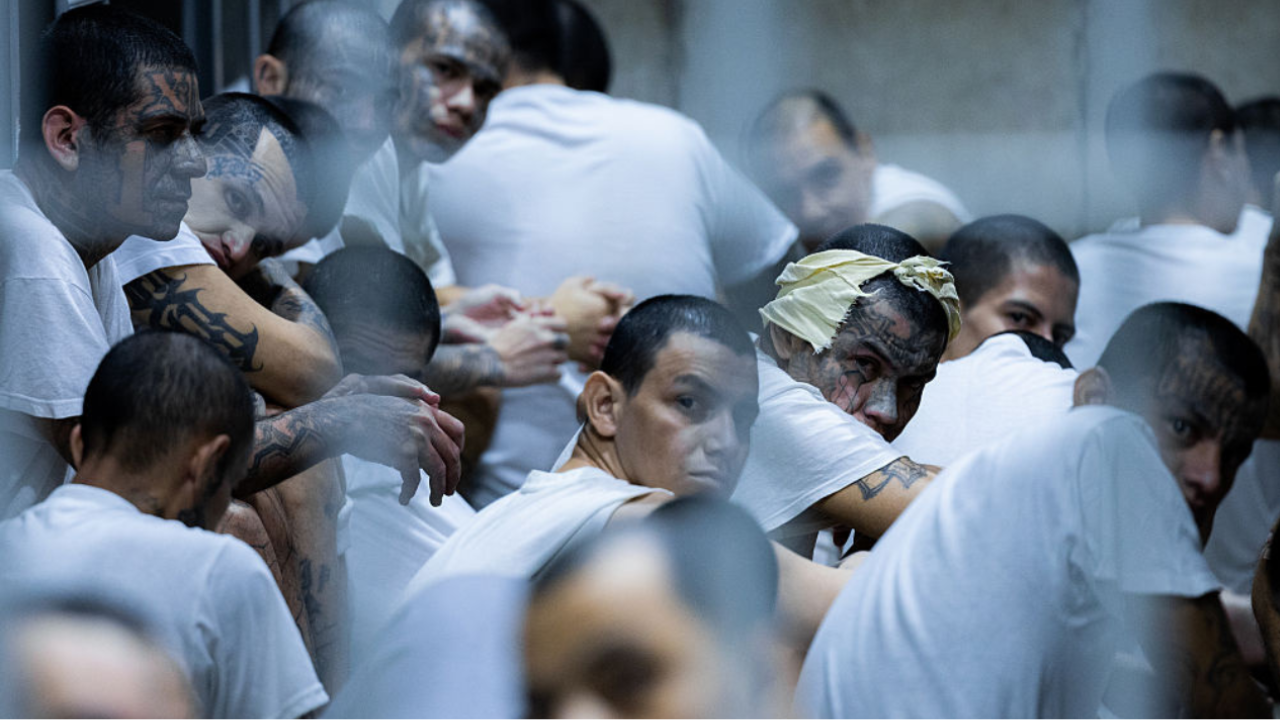Experts warn that emerging Venezuelan gang “anti-Teren” can be very violent