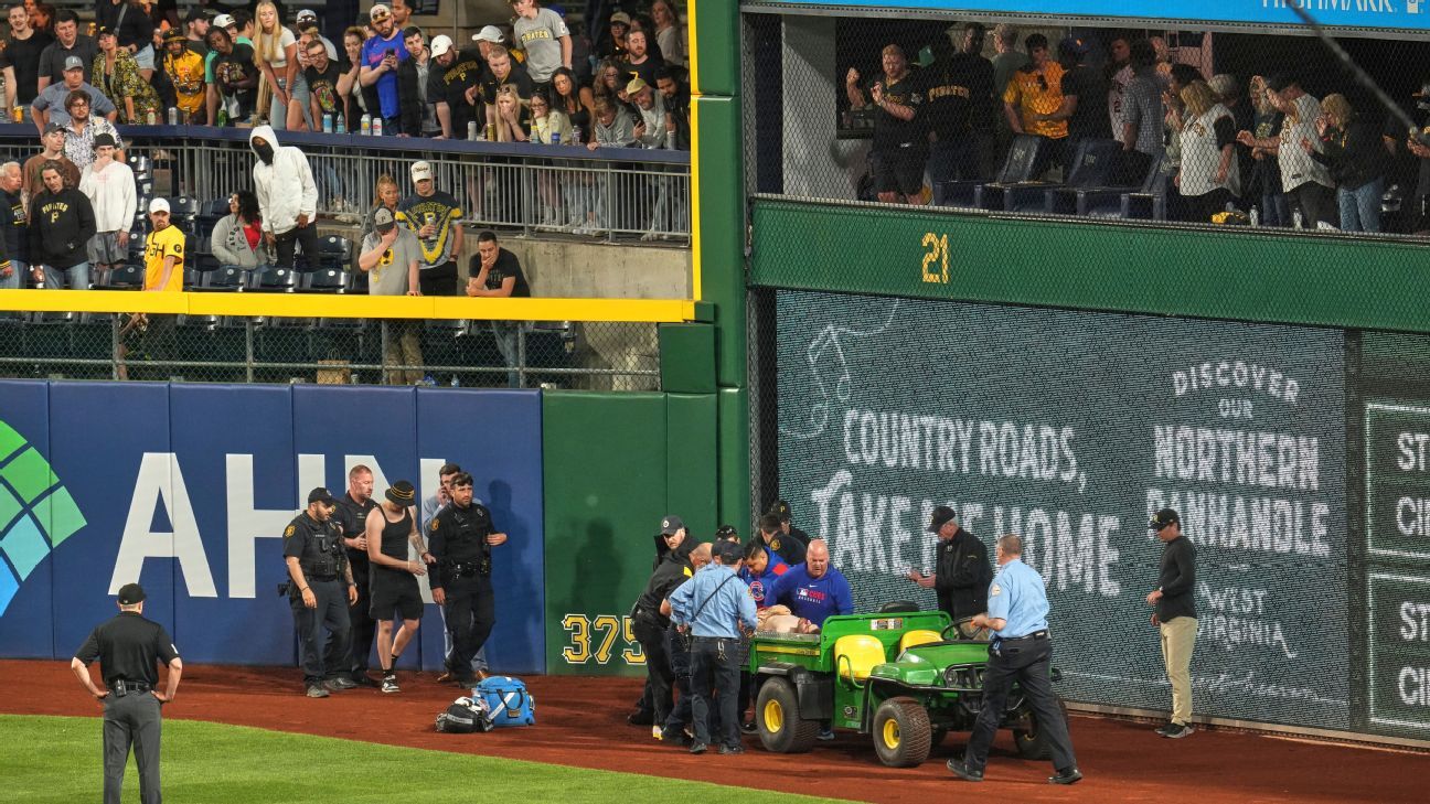 Fan criticism after falling from PNC Park