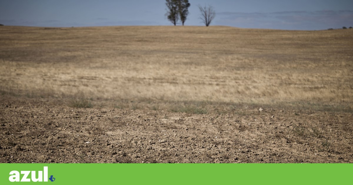 Fenômeno extremo de agricultores na Europa com 28 bilhões de euros por ano | Clima
